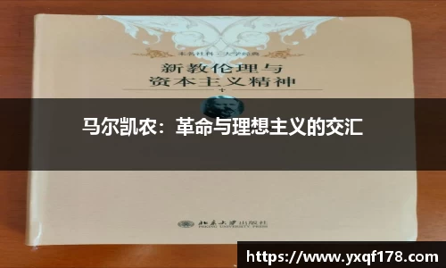 NG体育