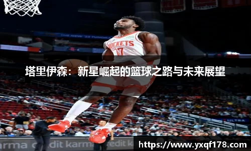 XK体育