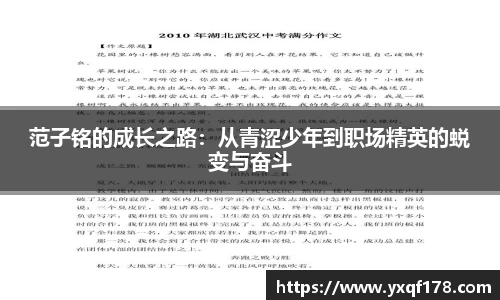 XK星空官网