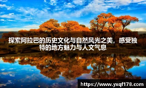 XK星空官网