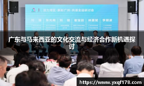 XK体育