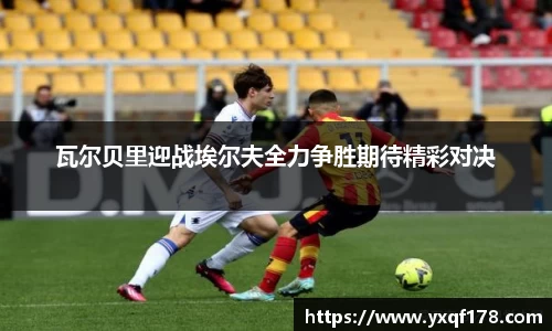 XK星空官网