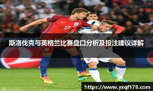 XK体育