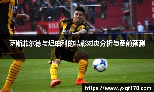 XK体育