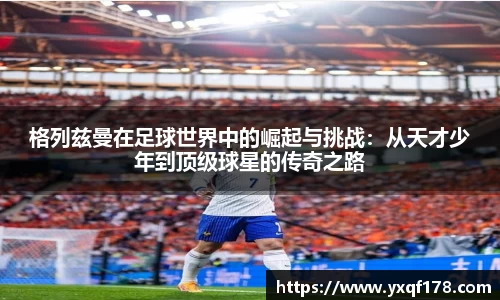 XK星空官网